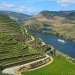 Cruzeiros no Douro